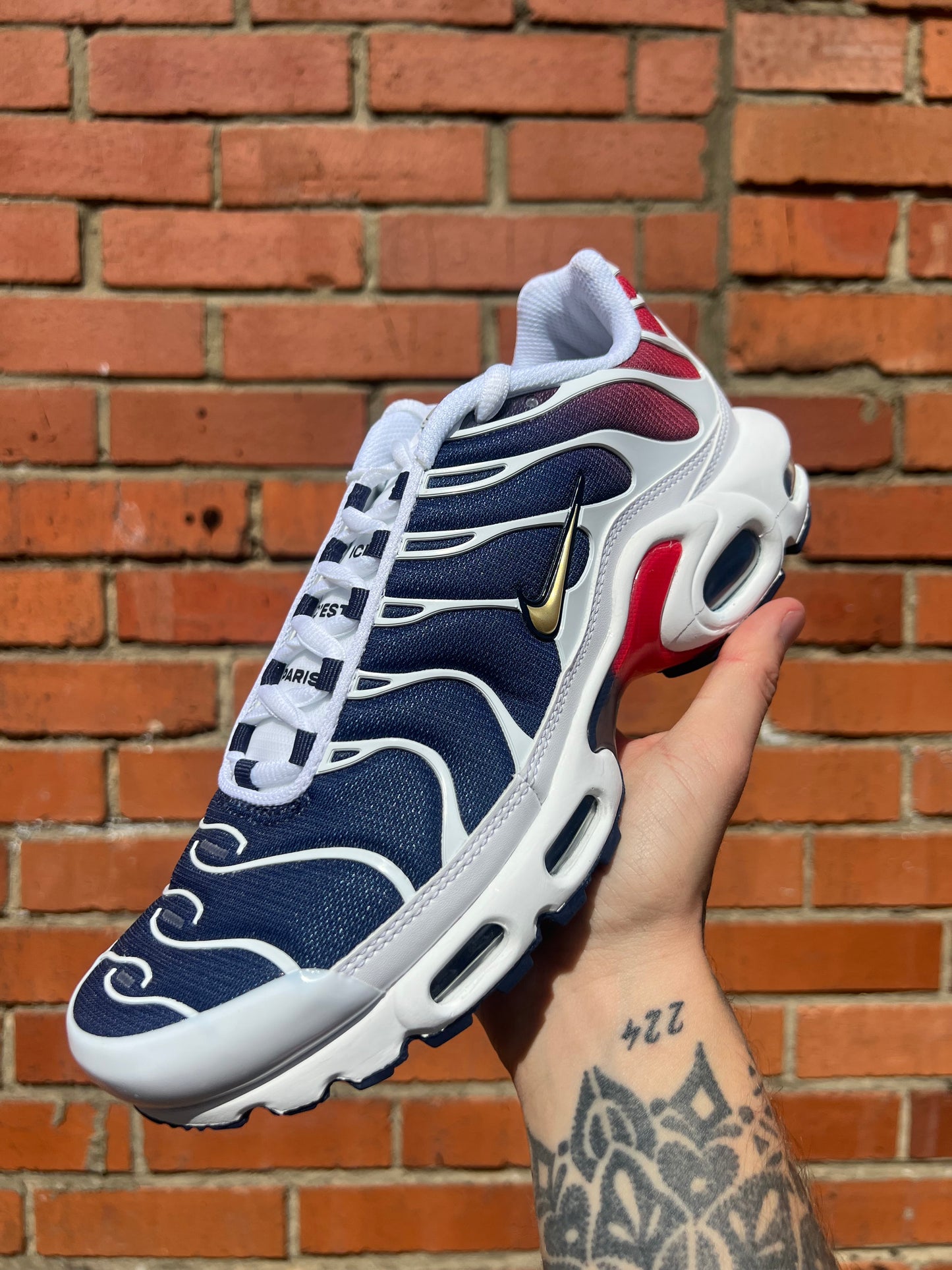 NIKE TN AIR MAX PLUS PSG