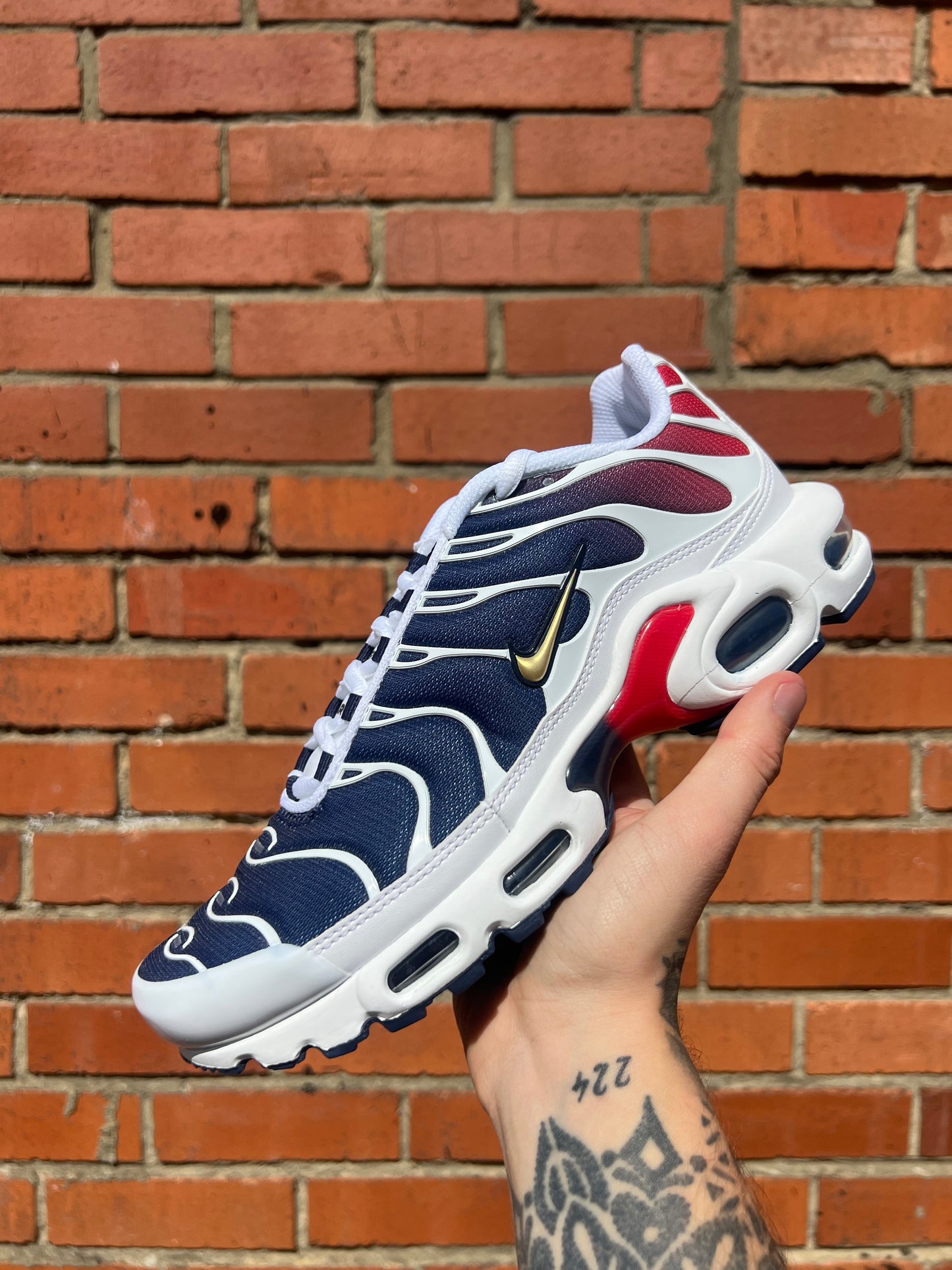 NIKE TN AIR MAX PLUS PSG