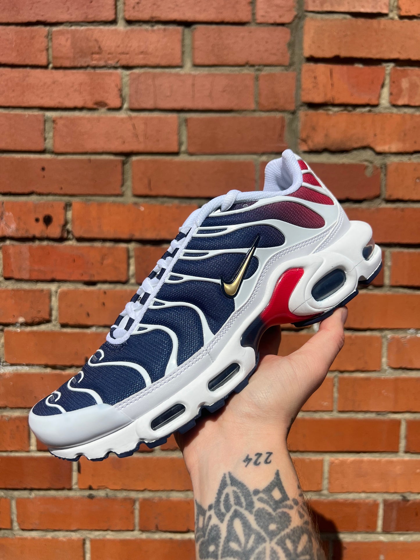 NIKE TN AIR MAX PLUS PSG