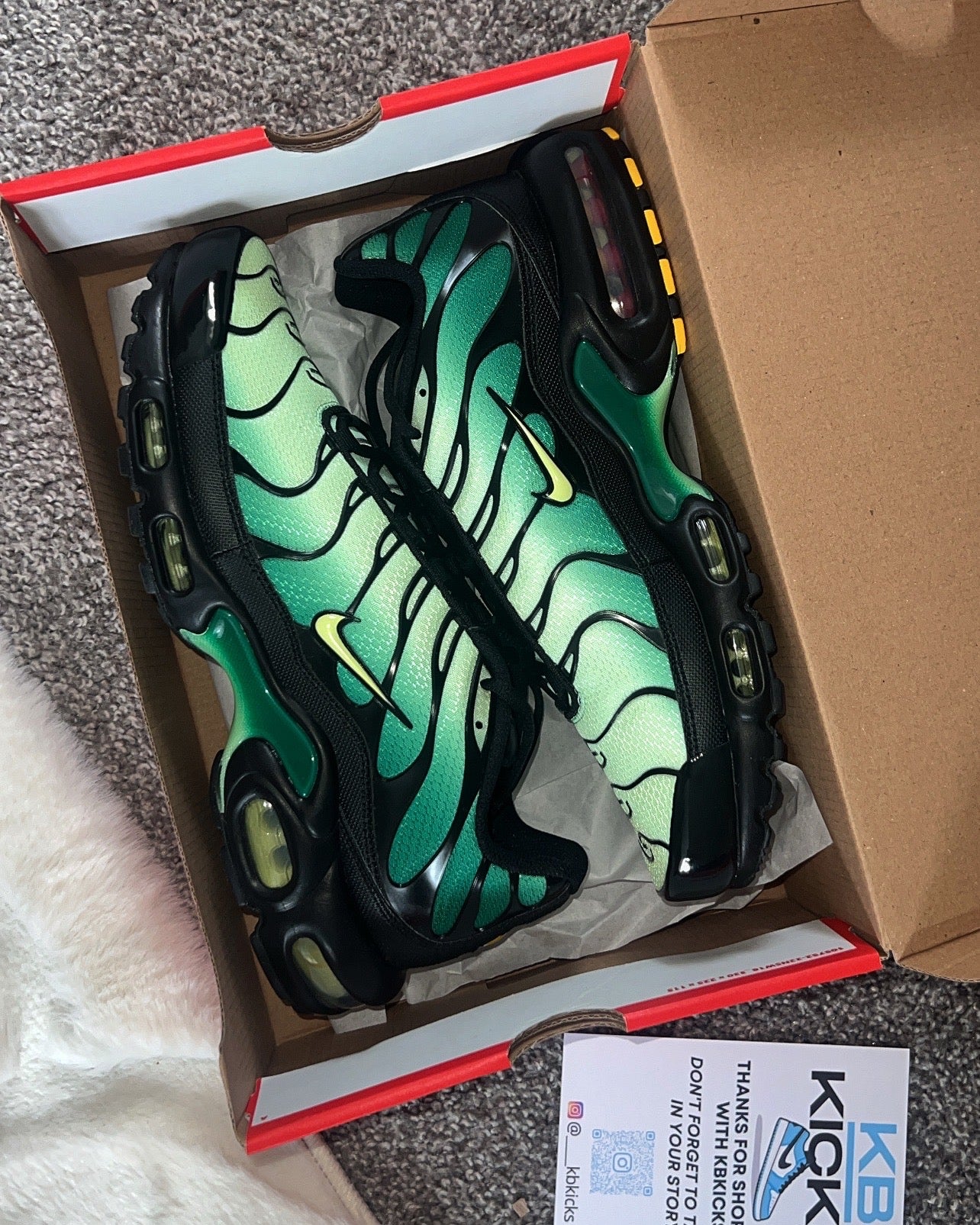 NIKE TN AIR MAX PLUS - VAPOUR GREEN/MALACHITE GREEN
